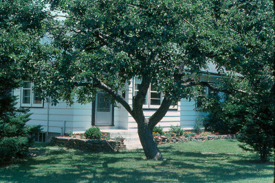 First House 1972