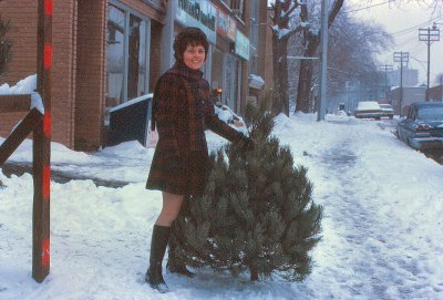 Christmas Tree 1st Year of Marriage Merton Street Toronto