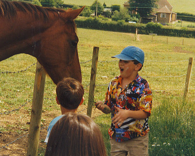 Feeding the horse, Herriard  Hampshire 1992