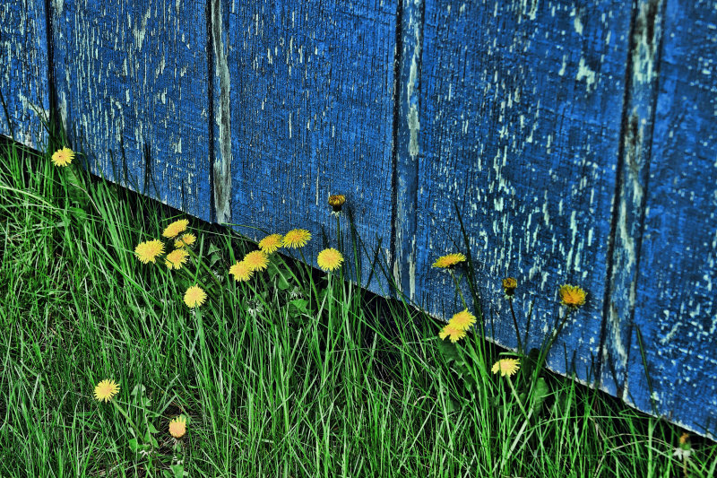 TEXTURES