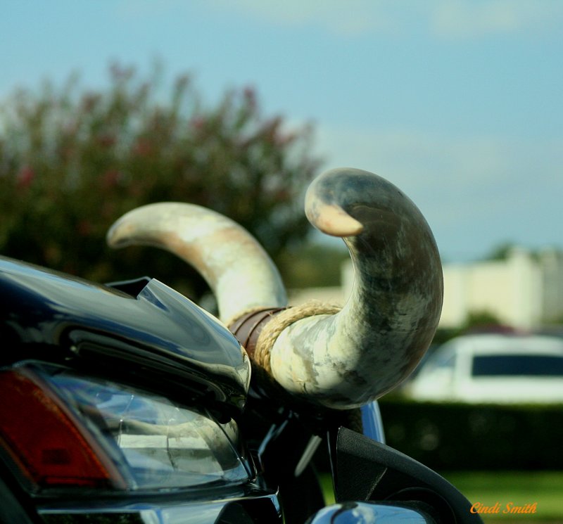 YOUR TRUCK HAS A SET OF LONGHORNS TIED TO THE FRONT OF IT.