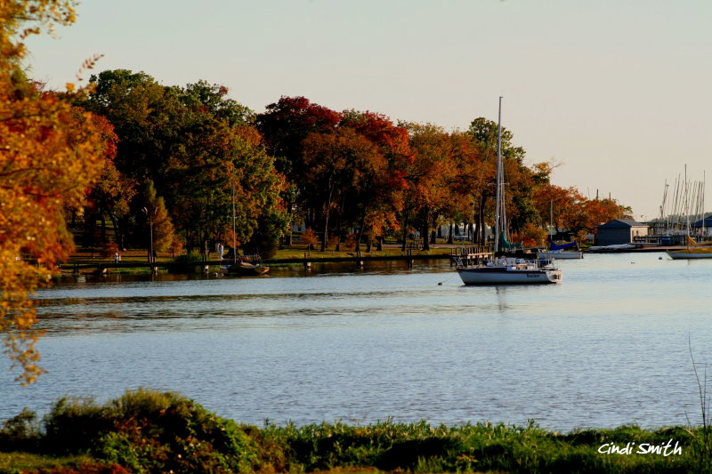 ANOTHER FALL SHOT AT WHITE ROCK LAKE