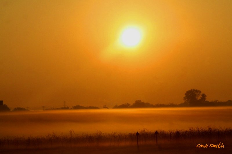 QUITE FOGGY THIS MORNING!