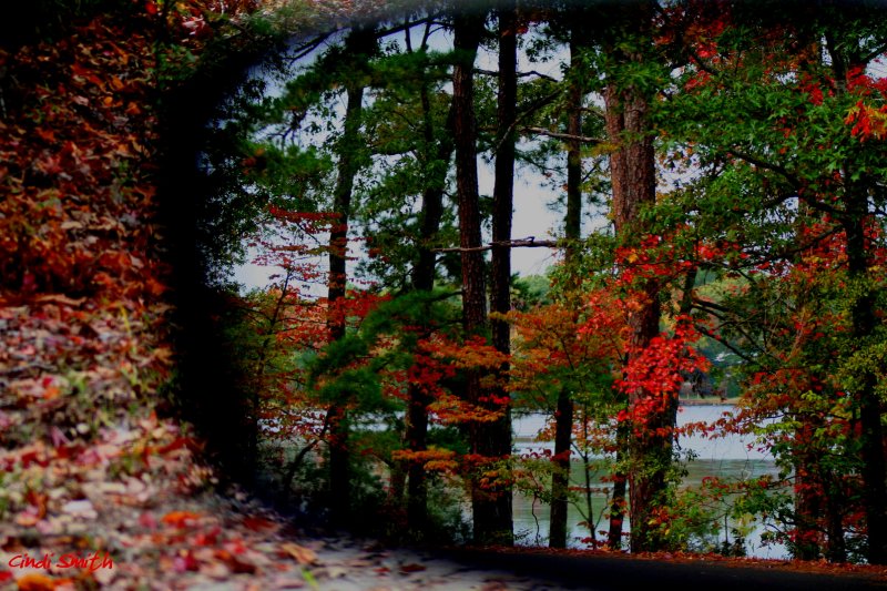 LOOKING BACK AT AUTUMN....MOVING TOWARDS WINTER