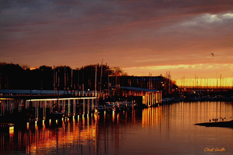 THE MARINA