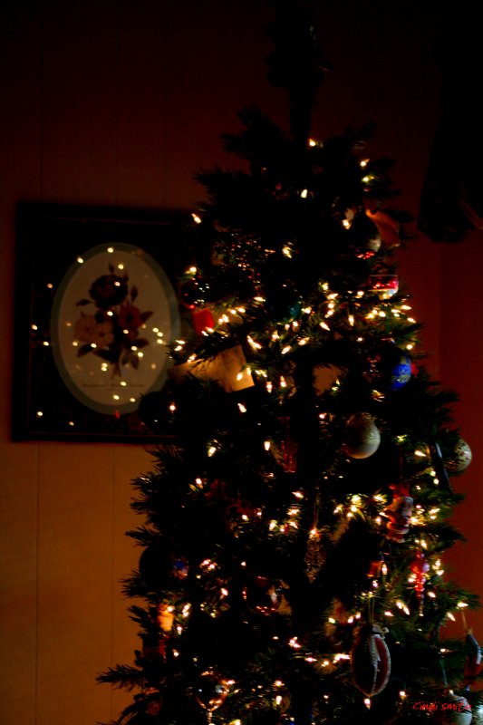 MOM AND DADS CHRISTMAS TREE