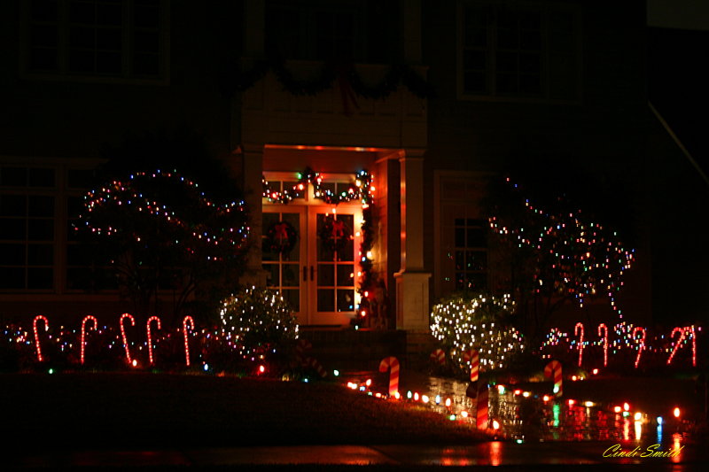 CHRISTMAS EVE LIGHTS