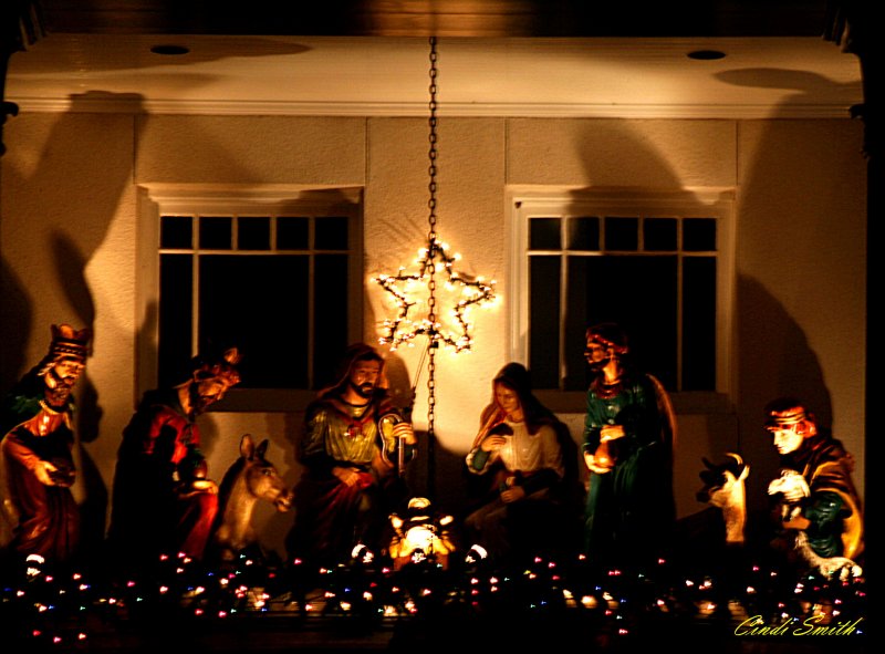 THE REASON FOR THE SEASON