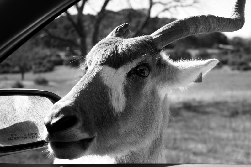 OBJECTS ARE CLOSER THAN THEY APPEAR