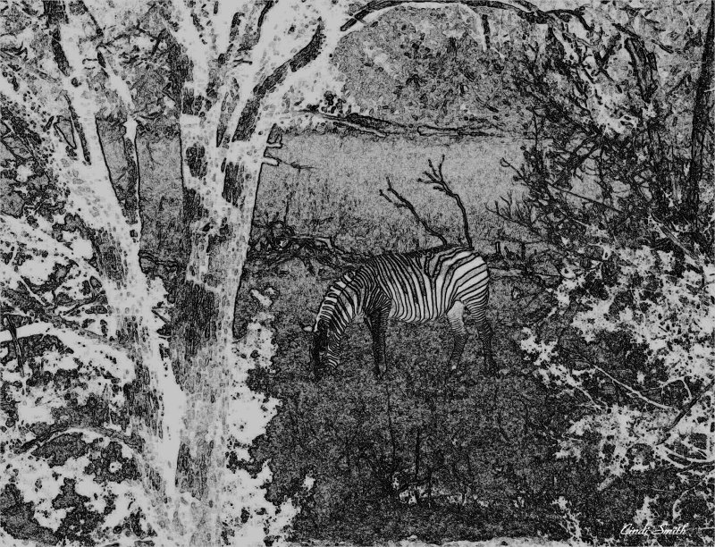 JANUARY 2007 B&W CHALLENGE - 1/12/07