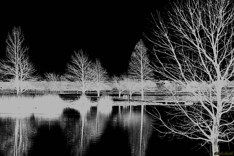 ICY REFLECTIONS
