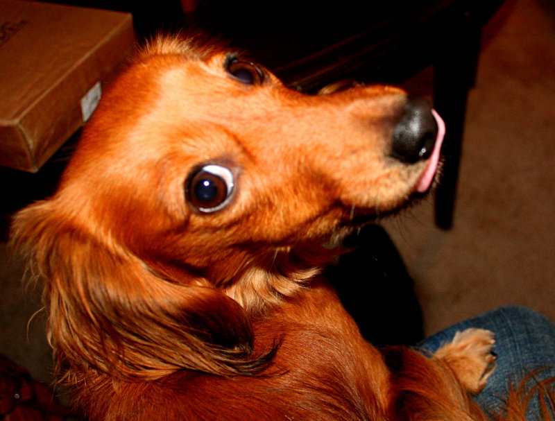 I LOVE IT WHEN YOU TAKE MY PICTURE!
