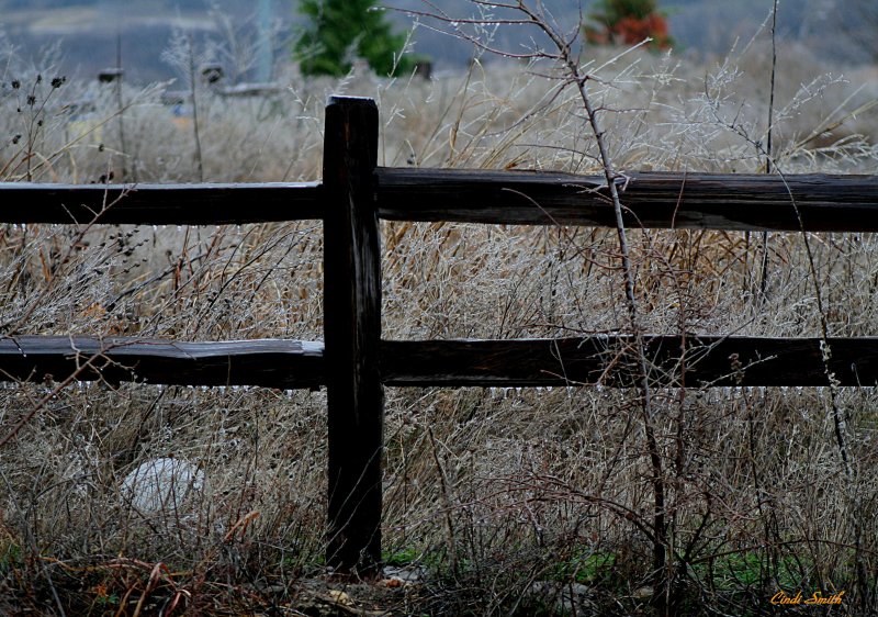 COLD FENCE