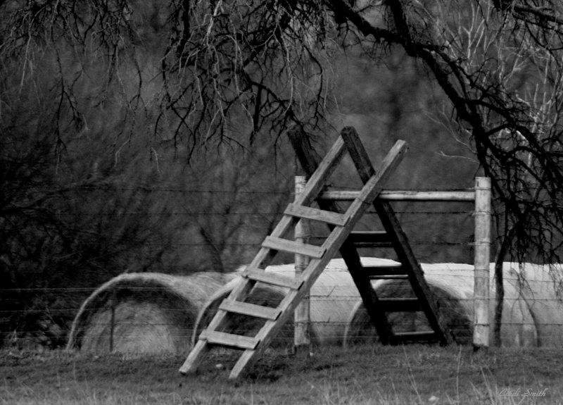 ONE WAY TO GO OVER A FENCE, I GUESS