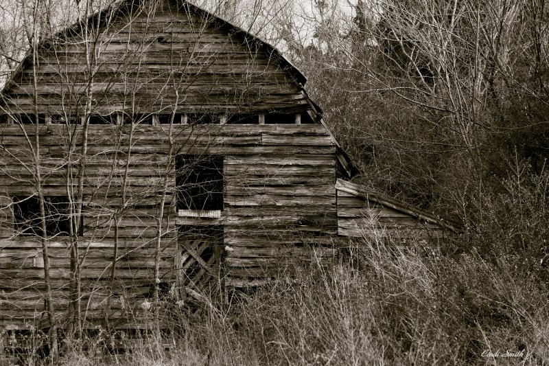 OLD AND OVERGROWN