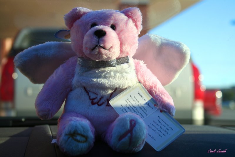MY LITTLE HOPE BEAR