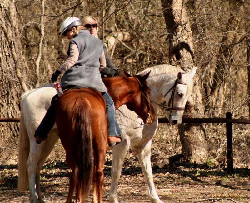 RIDING IN THE WOODS
