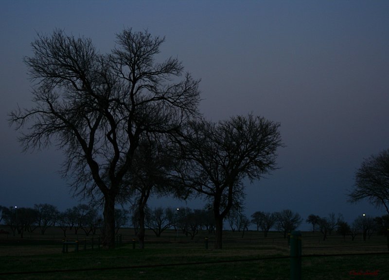 LOOKING TOWARDS THE EAST