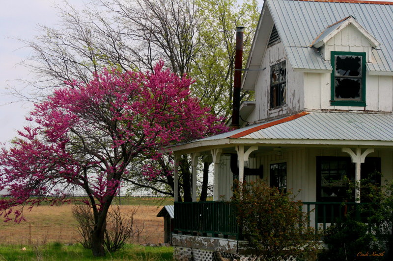 OLD BROKEN FARM HOUSE