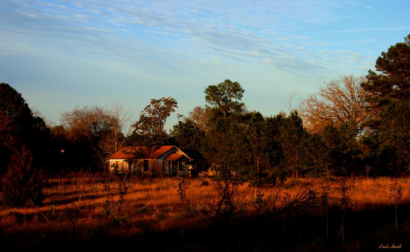 LATE AFTERNOON IN THE COUNTRY