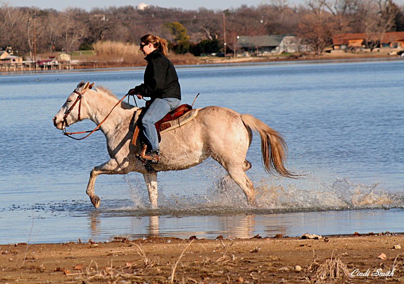 ALYSSA AND HER HORSE