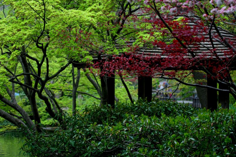 GREEN AND RED