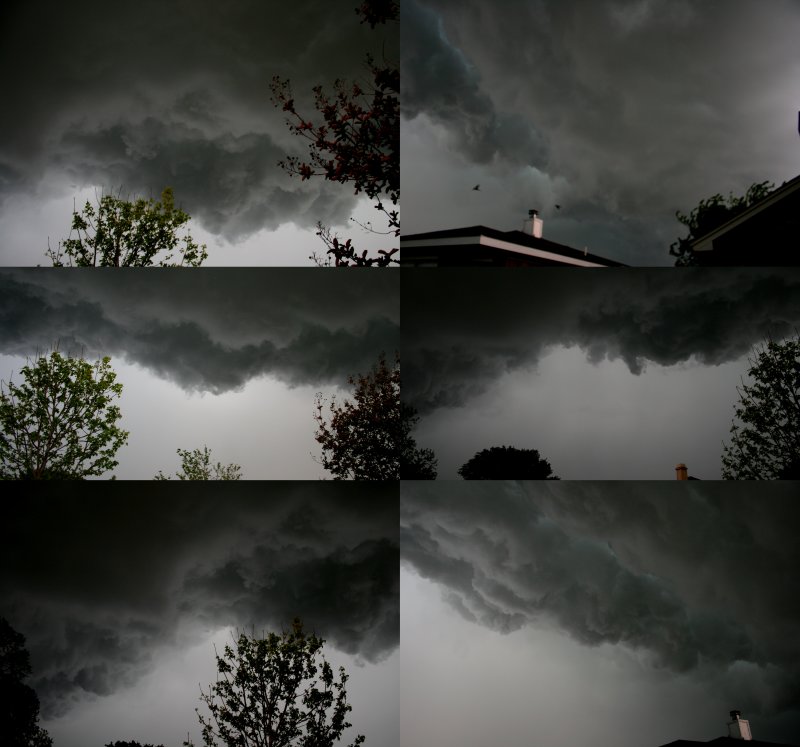 THE STORM OF THE NIGHT
