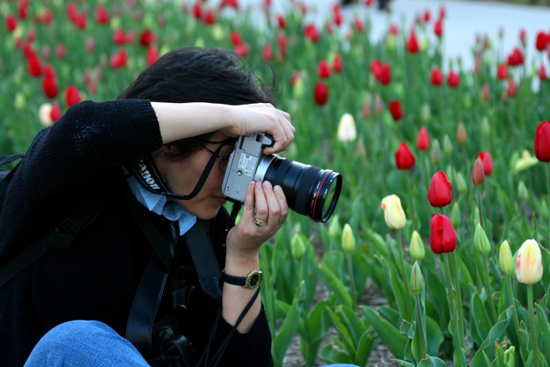 SHOOTING THE TULIPS