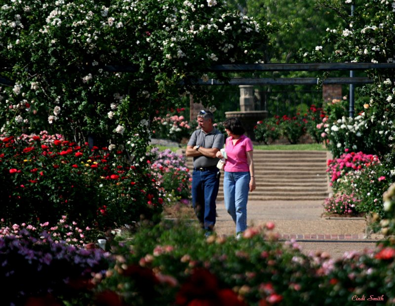 WALKING IN THE GARDEN
