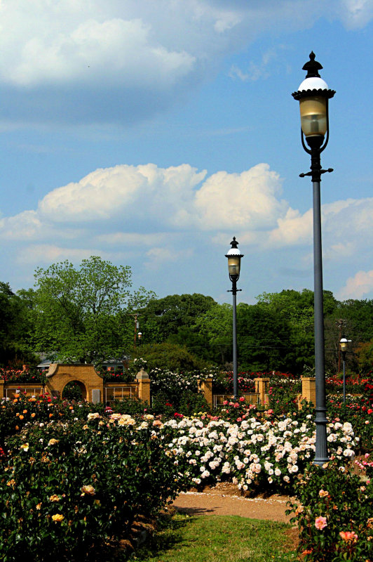 LAMPOSTS
