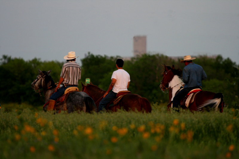 RIDING IN THE WILDFLOWERS