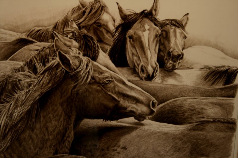 WILD HORSES COULDNT DRAG ME AWAY