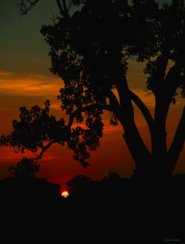 SUNSET LAST NIGHT