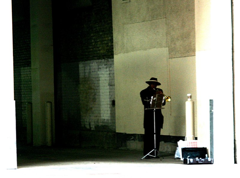 TRUMPET IN THE SHADOWS