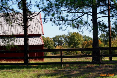 OUT IN THE COUNTRY