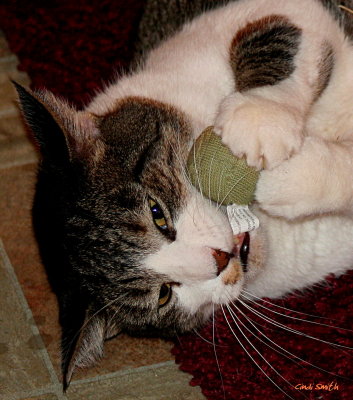 I LOVE MY BALL!