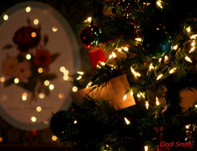CHRISTMAS TREE LIGHT REFLECTIONS