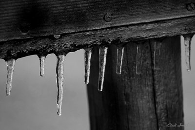 FENCE ICE