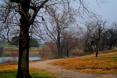 WALKING ALONG THE TRAIL