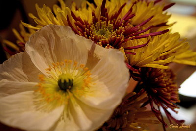 FLOWERS IN WINTER