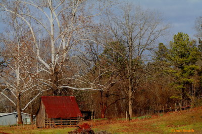 I'M A LITTLE BIT COUNTRY