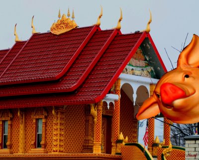 HAPPY CHINESE NEW YEAR! A BUDDIST TEMPLE AND A PIG FOR THE YEAR OF THE PIG!