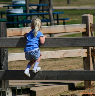 LITTLE CLIMBER