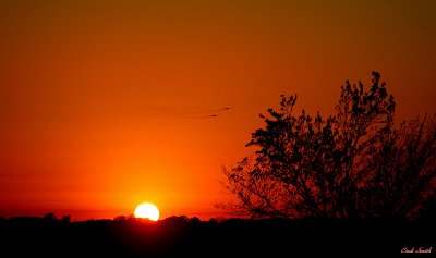 TWO FLYING INTO THE SUNSET