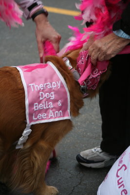 THERAPY DOGS