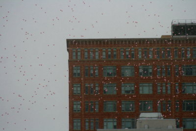 ONE THOUSAND BALLOONS RELEASED IN HONOR OF THE 1000 SURVIVORS WHO SIGNED UP FOR THE RACE