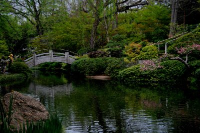 BRIDGE