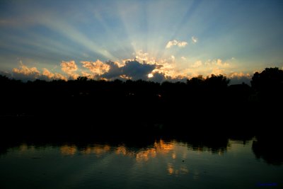 RAY REFLECTIONS