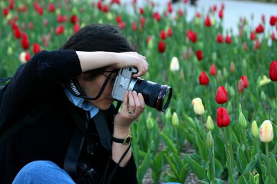 SHOOTING THE TULIPS
