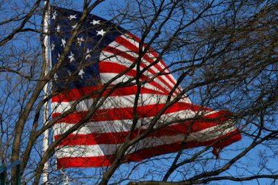 FLAG BEHIND THE TREES
